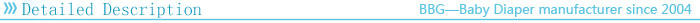 detailed description